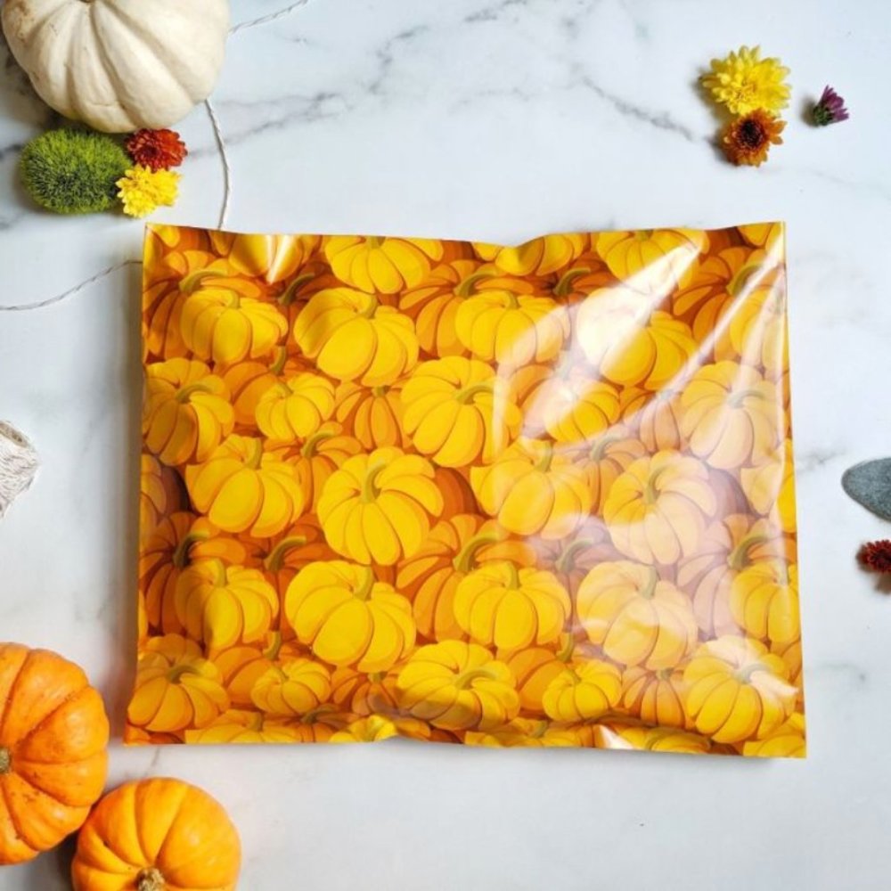 50 10x13 Fall Pumpkin Poly Mailers